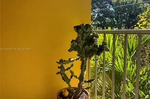 2822 Van Buren St, Hollywood, FL 33020 - Photo 18