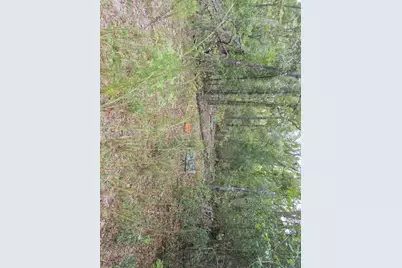 2390 NW 65th Ave, Other City - In The State Of Florida, FL 32619 - Photo 6