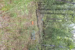 2390 NW 65th Ave, Other City - In The State Of Florida, FL 32619 - Photo 6