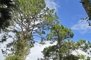 233 Malden Ave S, Lehigh Acres, FL 33974 - Photo 6