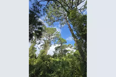 233 Malden Ave S, Lehigh Acres, FL 33974 - Photo 2