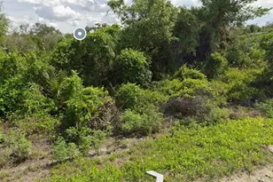 425 Fawnwood, Lake Placid, FL 33852 - Photo 2