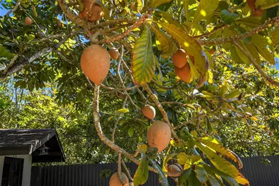 19955 SW 186th St, Miami, FL 33187 - Photo 14