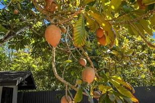 19955 SW 186th St, Miami, FL 33187 - Photo 14