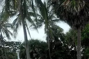 170 Celestial Way, Juno Beach, FL 33408 - Photo 38