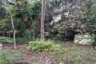 655 NE 82nd St, Miami, FL 33138 - Photo 12