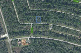 8377 Mantua Ave, Sebring, FL 33872 - Photo 1