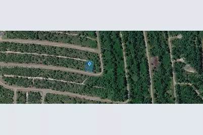 8049 Altara Street, Sebring, FL 33872 - Photo 4