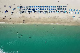 2602 E Hallandale Beach Blvd, Hallandale Beach, FL 33009 - Photo 12