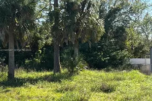 803 W 6th St, Lehigh Acres, FL 33792 - Photo 1