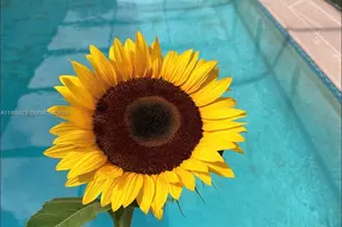 30255 SW 197th Ave, Homestead, FL 33030 - Photo 2