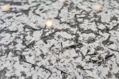 301 N Birch Rd #8N, Fort Lauderdale, FL 33304 - Photo 12