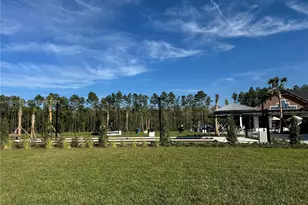 34 Hammer Cir, Other City - In The State Of Florida, FL 32259 - Photo 54