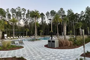 34 Hammer Cir, Other City - In The State Of Florida, FL 32259 - Photo 68