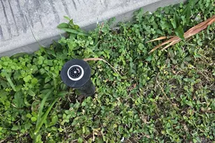 613 NE 5th Way, Florida City, FL 33034 - Photo 22