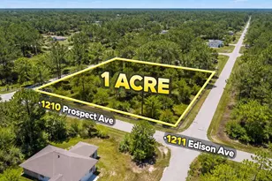 1210 Prospect Ave, Lehigh Acres, FL 33972 - Photo 1