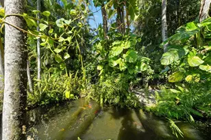 11220 SW 67th Ave, Pinecrest, FL 33156 - Photo 32