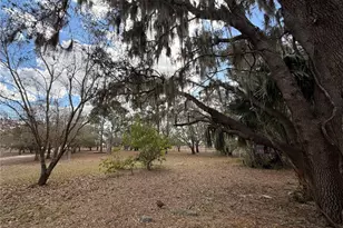 4120 Palomino Dr, Sebring, FL 33875 - Photo 16