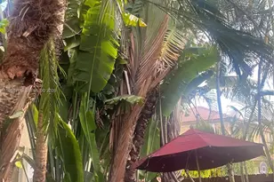 7469 NW 112th Pl, Doral, FL 33178 - Photo 28