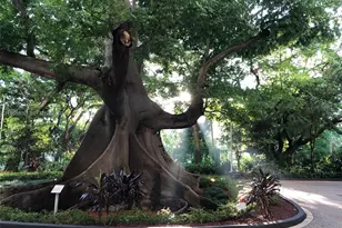 1861 NW S River Dr, Miami, FL 33125 - Photo 28