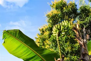 17341 SW 74th Ave, Palmetto Bay, FL 33157 - Photo 44