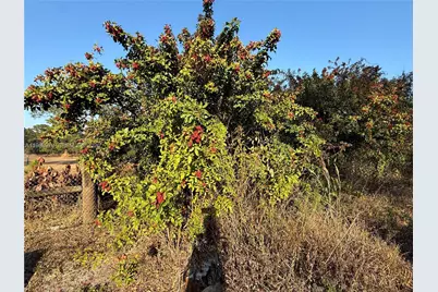470 N Mayoral St, Clewiston, FL 33440 - Photo 6
