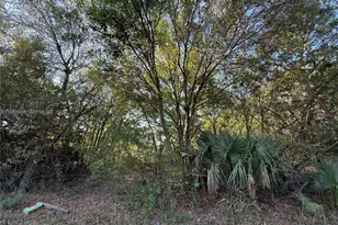 858 Woodland Blvd, Clewiston, FL 33440 - Photo 1
