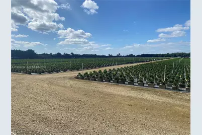 Richard Road, Homestead, FL 33031 - Photo 2