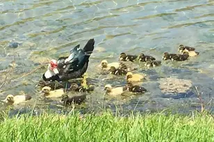 11280 SW 238th St, Homestead, FL 33032 - Photo 12