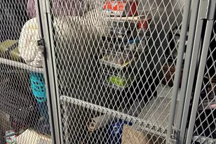 401 SW 4th Ave, Fort Lauderdale, FL 33315 - Photo 66