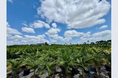 328Xx SW 202 Ave, Homestead, FL 33034 - Photo 4