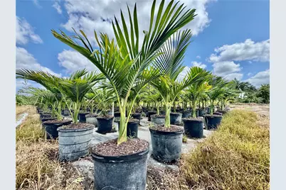 328Xx SW 202 Ave, Homestead, FL 33034 - Photo 6