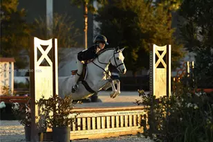 2625 SW 148th Ave, Davie, FL 33331 - Photo 46