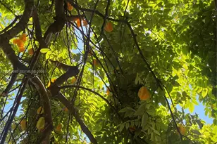 23755 SW 142nd Ave, Homestead, FL 33032 - Photo 76