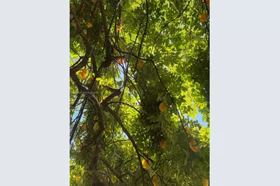 23755 SW 142nd Ave, Homestead, FL 33032 - Photo 80