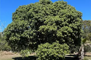 23755 SW 142nd Ave, Homestead, FL 33032 - Photo 70