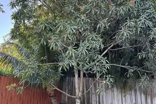 470 NE 127th St, North Miami, FL 33161 - Photo 4