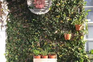 9917 SW 221st Terrace, Cutler Bay, FL 33190 - Photo 18