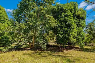 19401 SW 264th St, Homestead, FL 33031 - Photo 16