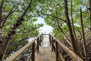 5990 Paradise Point Dr, Palmetto Bay, FL 33157 - Photo 80