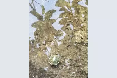 801 S Biscayne River Dr, Miami, FL 33169 - Photo 50