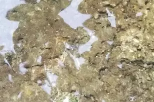 801 S Biscayne River Dr, Miami, FL 33169 - Photo 50