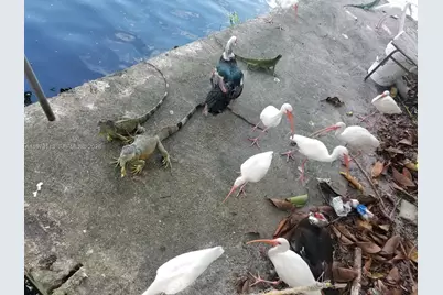 801 S Biscayne River Dr, Miami, FL 33169 - Photo 48