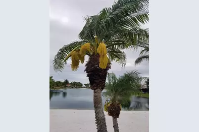 1361 Sandpiper Blvd, Homestead, FL 33035 - Photo 8