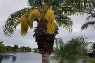 1361 Sandpiper Blvd, Homestead, FL 33035 - Photo 8