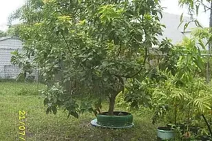 16501 SW 102nd Ct, Miami, FL 33157 - Photo 4