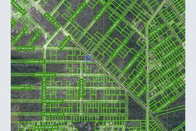 532 Nichele Boulevard, Lake Placid, FL 33852 - Photo 2