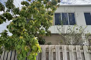 13900 SW 259th Way, Homestead, FL 33032 - Photo 22