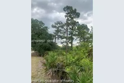 615 Wildflower Street, Lake Placid, FL 33852 - Photo 10