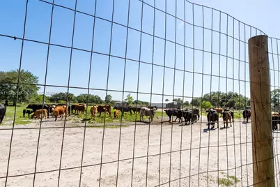 21810 NW 270th St, Okeechobee, FL 34972 - Photo 10